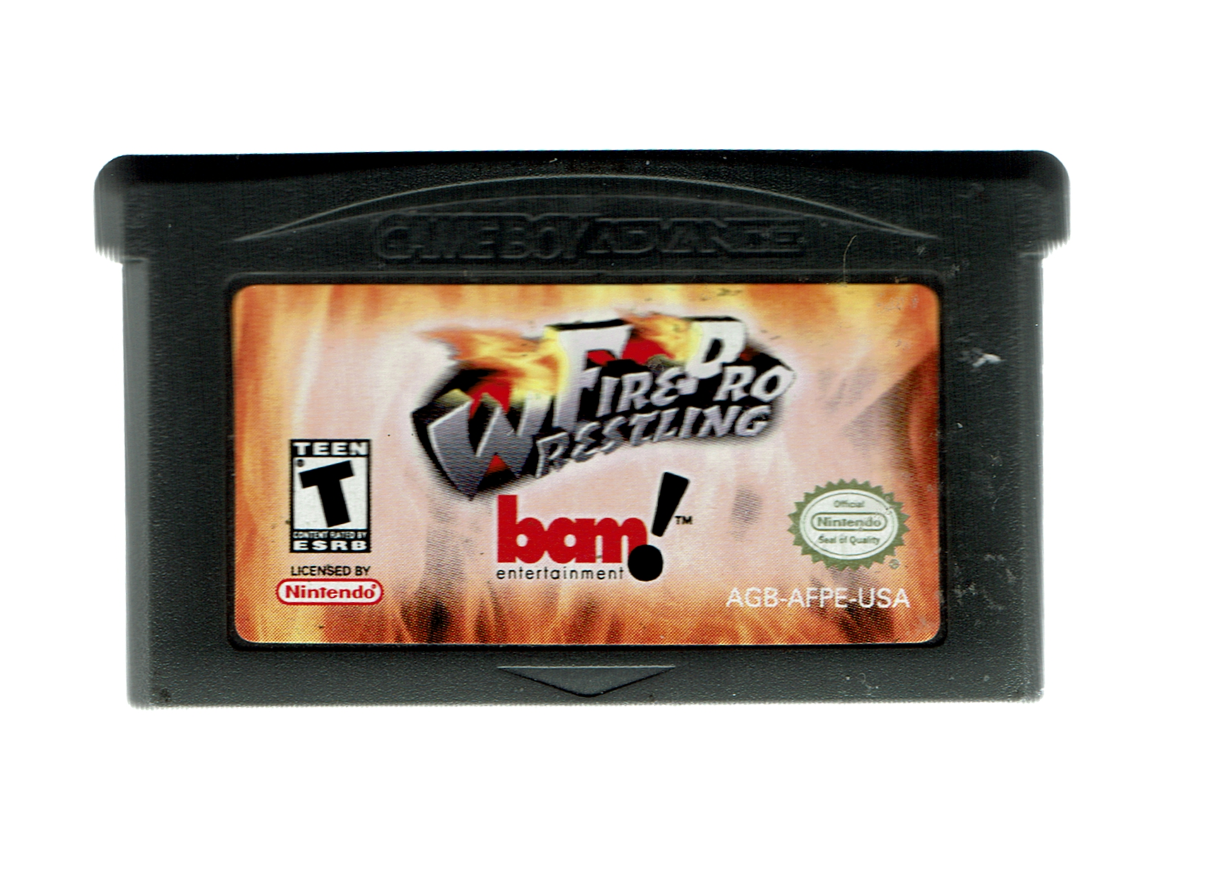 Fire Pro Wrestling Fire Pro Wrestling
